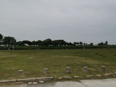 -合肥滨湖国家森林公园