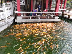 -广东圆玄道观