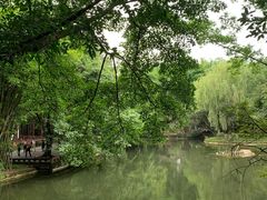 -望江楼公园