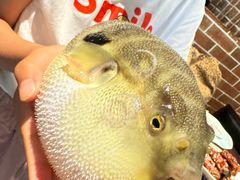 -永安鱼庄·镇江菜(东吴路店)