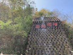 -千年银杏谷文化旅游区