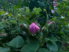 -兰溪小馆(东直门簋街店)