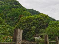 -青城山