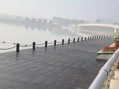 -映月湖中央公园
