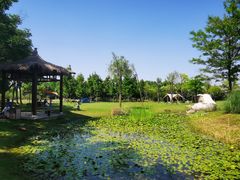 -广富林郊野公园