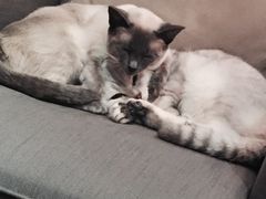 -MIKAKU(万达广场上海宝山店)