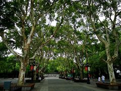 -莹珠阁·私房菜