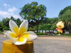 -厦门日月谷温泉渡假村