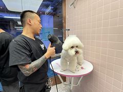 -FAELING PETS美天灵宠物(富力广场店)