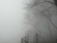 -少华山国家森林公园
