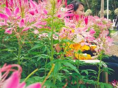 -人民公园(罗湖区)