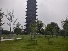 -葛仙湖公园