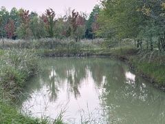 -泗洪洪泽湖湿地景区