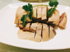 -丁老爷子苏香圆
