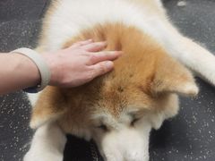 -YCHL Studios健身工作室(市二宫店)