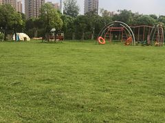 -菊园百果园