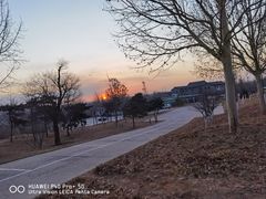 -北京西山国家森林公园