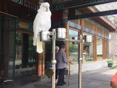 -那家小馆•北京菜•烤鸭(香山店)