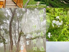 -白草畔自然风景区