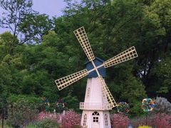 -上海共青森林公园