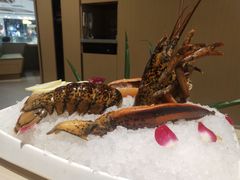 -海底捞火锅(凯德广场店)