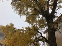 -金堂县云顶石城风景区