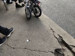 -鑫农家大院(余家头店)