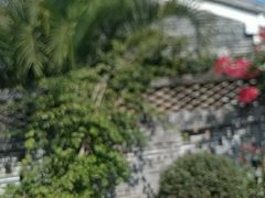 -顺德了能馆(虎门店)