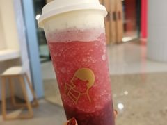 多肉车厘2.0-喜茶(上海五角场万达店)