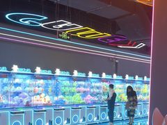 -深圳龙华星河COCO City(民治店)