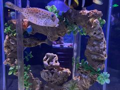 -太平洋海底世界