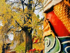 -金堂县云顶石城风景区