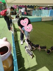 -萌宠亲子动物乐园(槐房万达店)