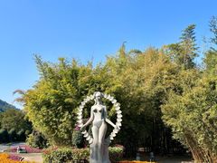 -东南花都花博园