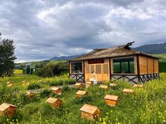 -新疆那拉提国家旅游度假区