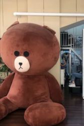 -JM STYLE造型明星.网红