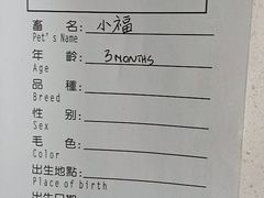 -申普宠物医院·心脏介入·心血管微创(总院)