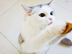 -怪兽屋·羊驼·猫咖·狗咖(俊华广场店)