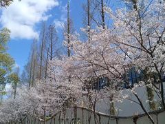 -远洲凤凰山庄臻味全日餐厅