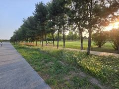 -汉长安城未央宫国家考古遗址公园