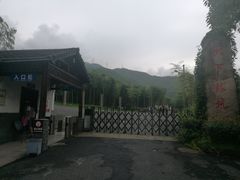 -天下银坑