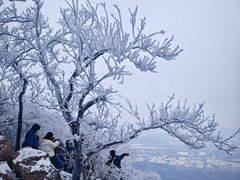 -紫金山山顶公园