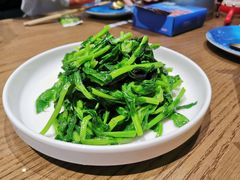 -雀舞云南菜(乐客城店)