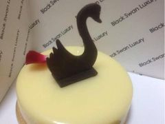 iphone_upload_pic-BLACKSWAN黑天鹅(环球店)