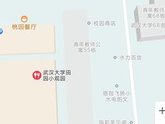 -田园小观园(武大店)