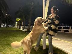 -美迦爱动物医院·夜诊(朝阳路诊疗中心)