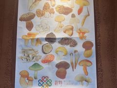 -滇野云南野生菌餐厅(陕西南路店)