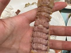 -禾斗海鲜自助(市南银座店)