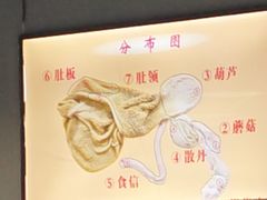 -同城四季爆肚涮羊肉(安华里店)