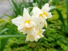 -共青国家森林公园-售票处